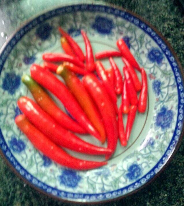 萝卜干炒农家腊肉步骤1