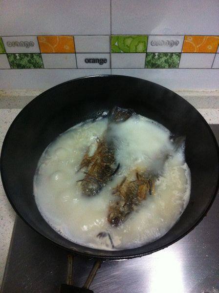 豆腐鲫鱼钵子步骤8