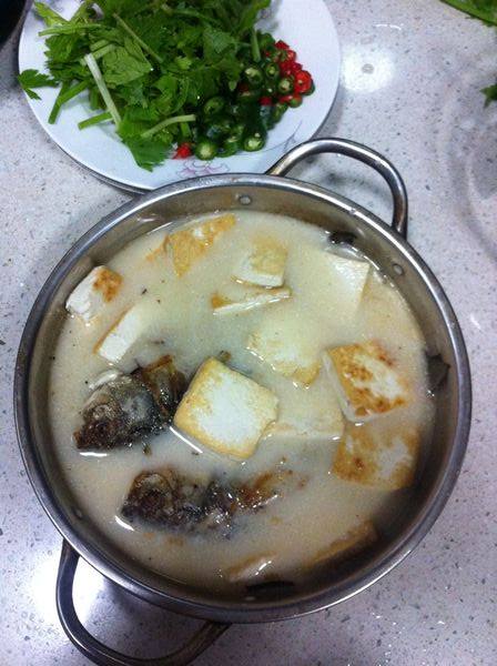豆腐鲫鱼钵子步骤14