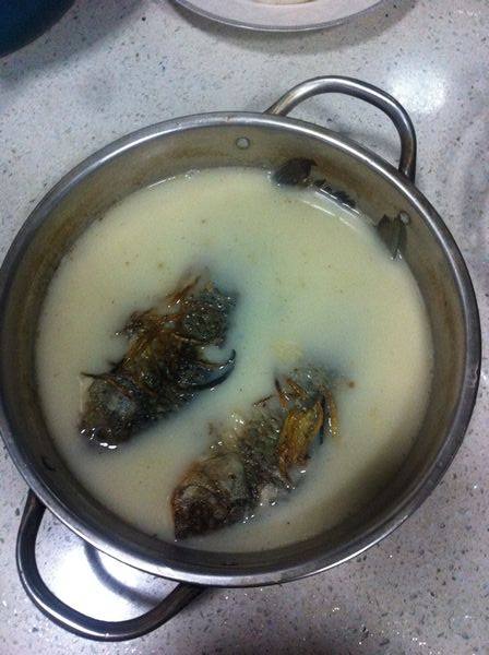 豆腐鲫鱼钵子步骤10