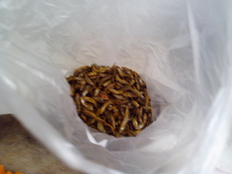 青辣椒炒火焙鱼步骤1