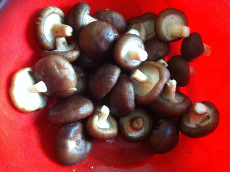 香辣兔香菇步骤1