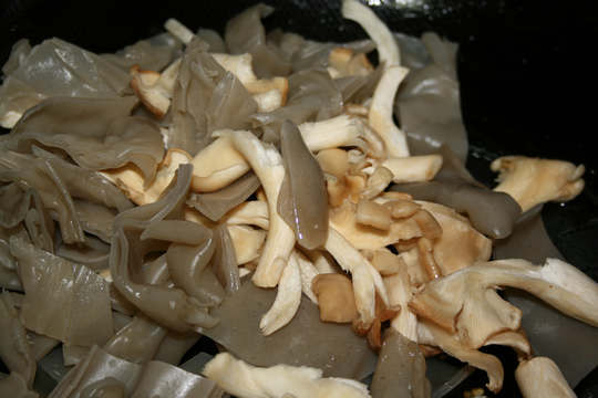 鲜薯粉皮炒秀珍菇步骤3