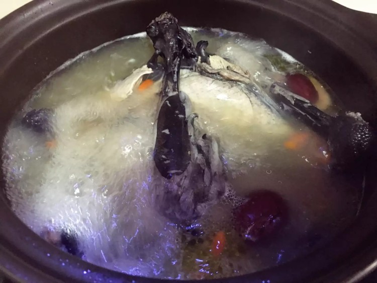 养颜乌鸡汤步骤9
