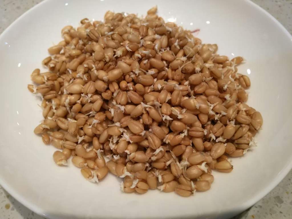 小麦胚芽煲仔饭步骤2