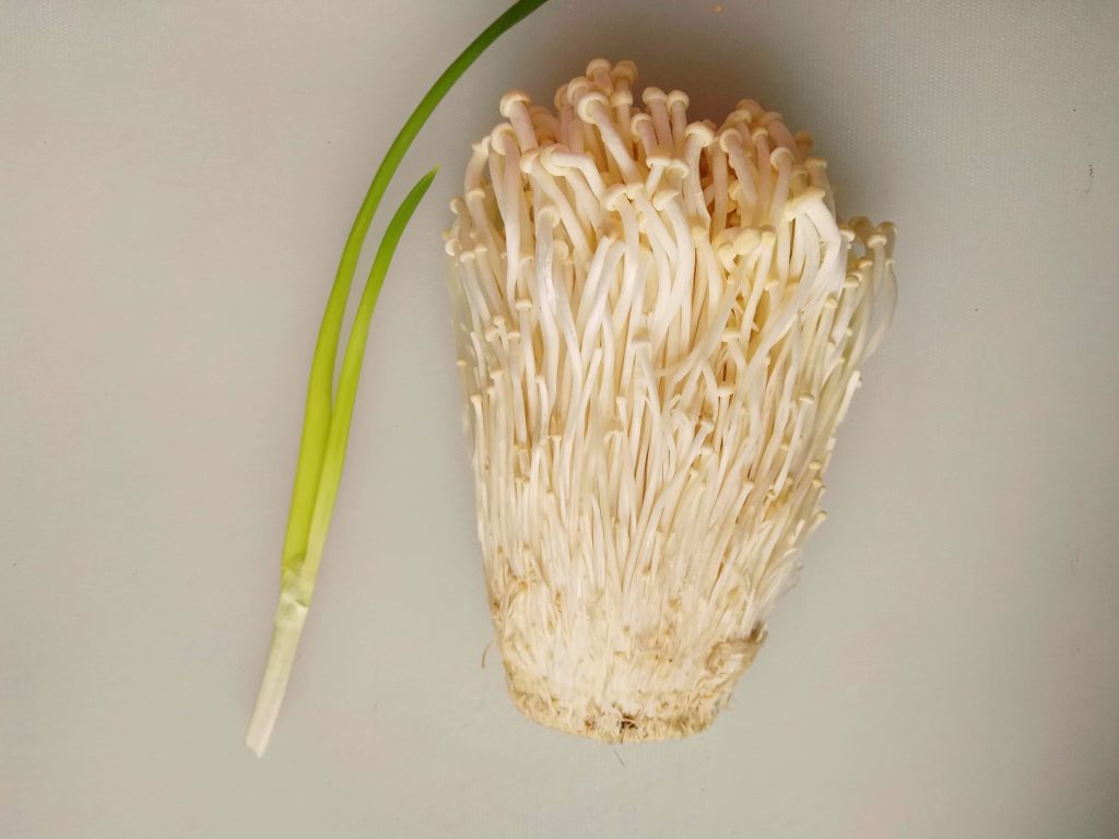 白灼金针菇步骤1