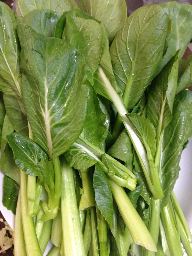 金蒜蚝油菜心步骤2