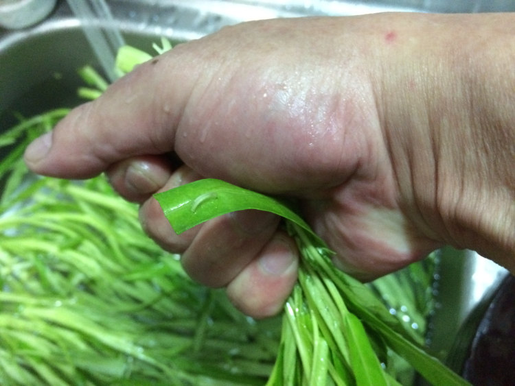清炒通心菜步骤4
