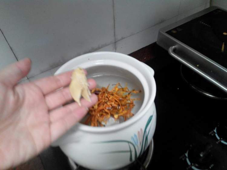 虫草花煲鸭汤步骤5
