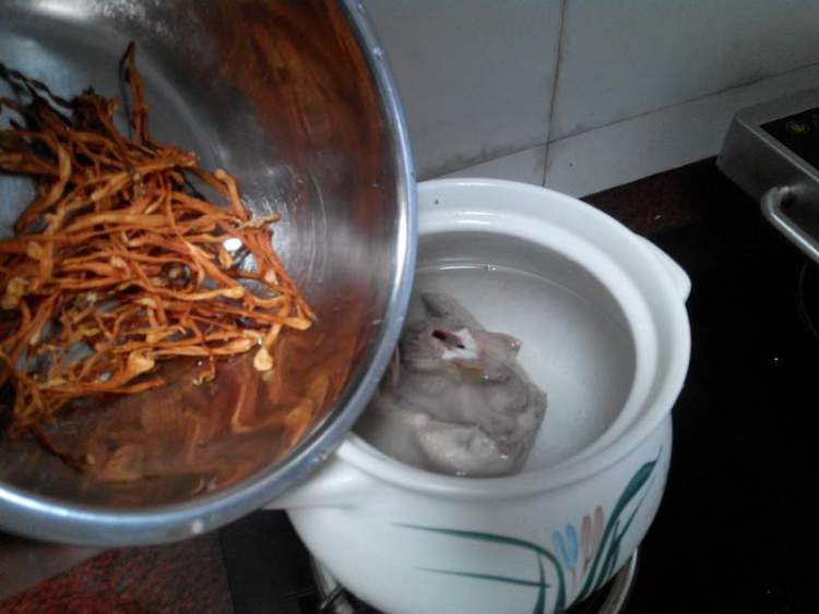 虫草花煲鸭汤步骤4