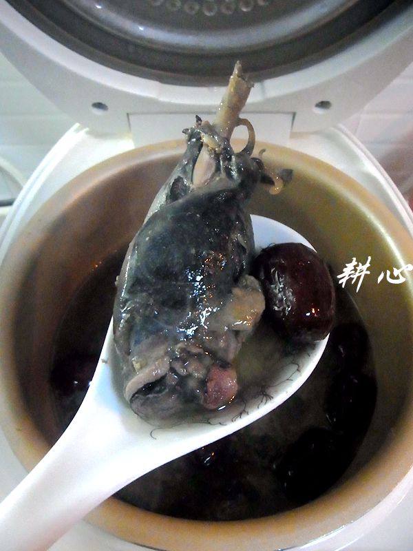 红枣薏米乌鸡汤步骤6