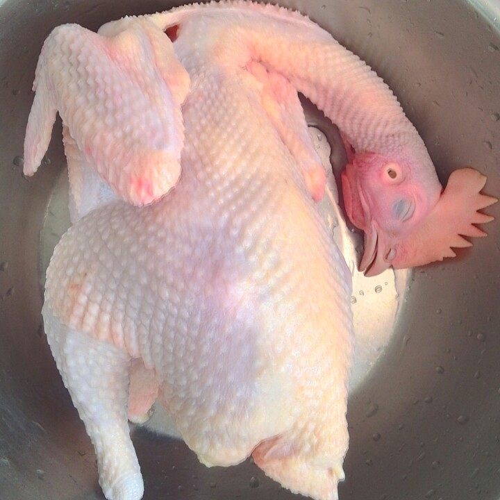 沙姜清远鸡步骤4