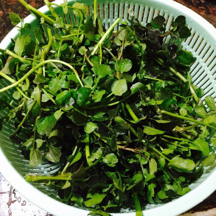 清炒西洋菜步骤2