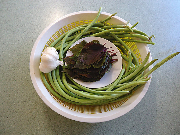 蒜头紫苏炒豆角步骤1