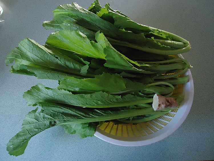 清炒芥菜步骤1