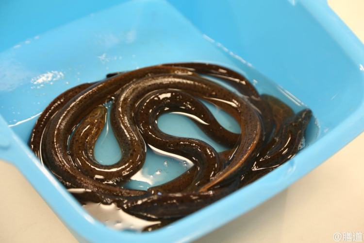砂锅蒜子鳝鱼步骤1