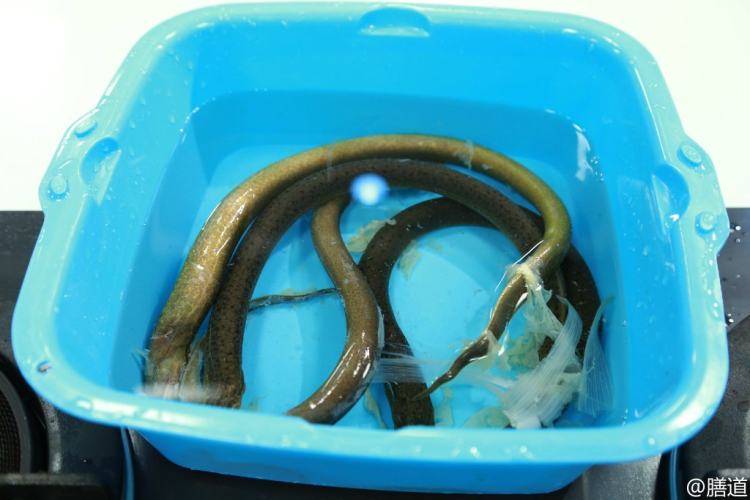 砂锅蒜子鳝鱼步骤7