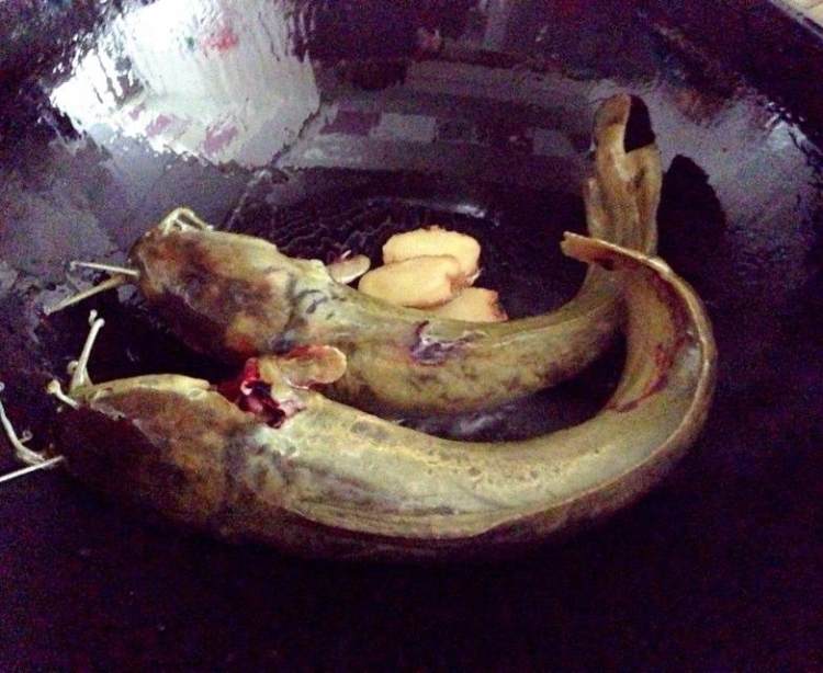 塘鲺黑豆汤步骤4