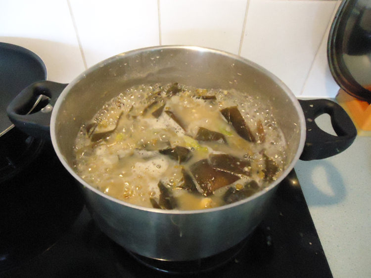 海带绿豆煲马齿苋根步骤9