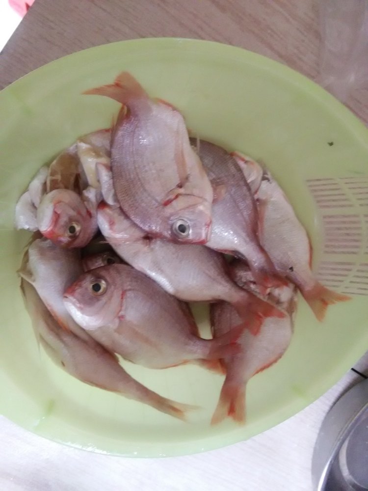 家常烧鱼步骤1