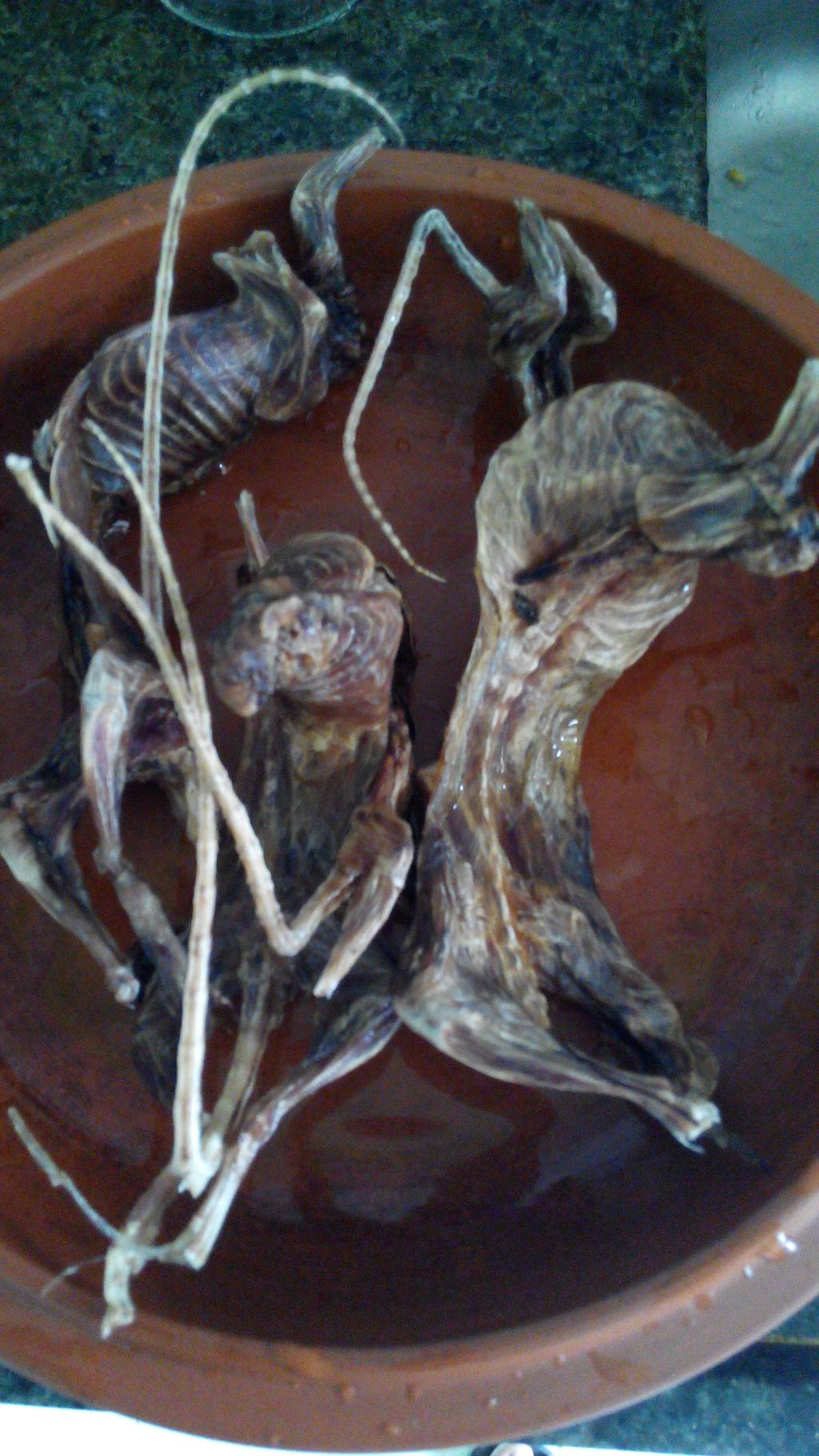 黑豆老鼠干煲猪骨汤步骤2