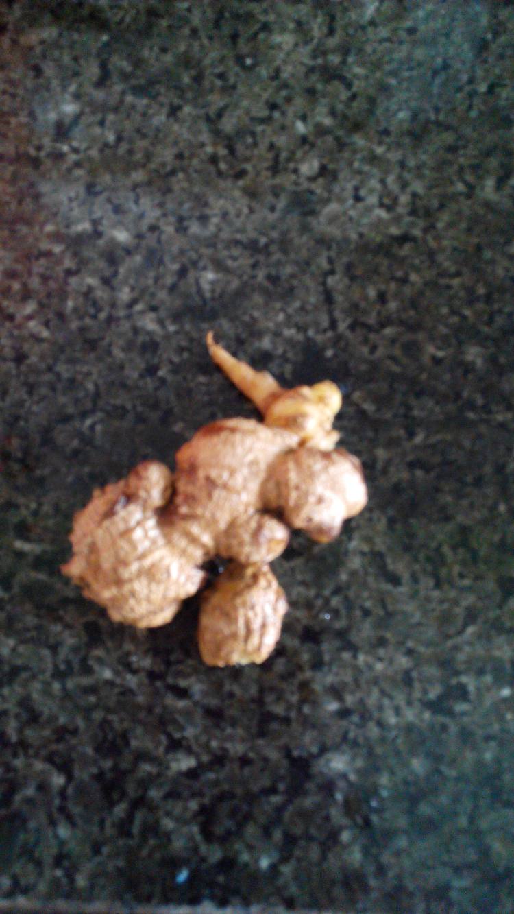 黑豆老鼠干煲猪骨汤步骤4