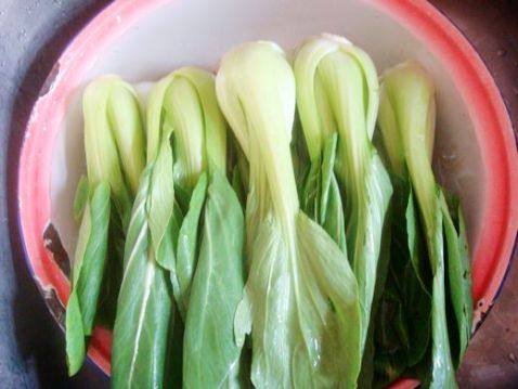 炝油菜步骤1