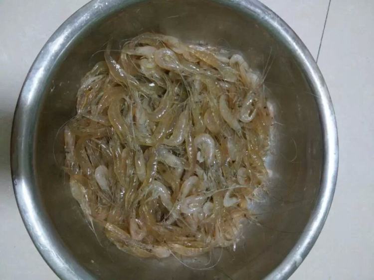 辣炒鹰爪虾步骤1