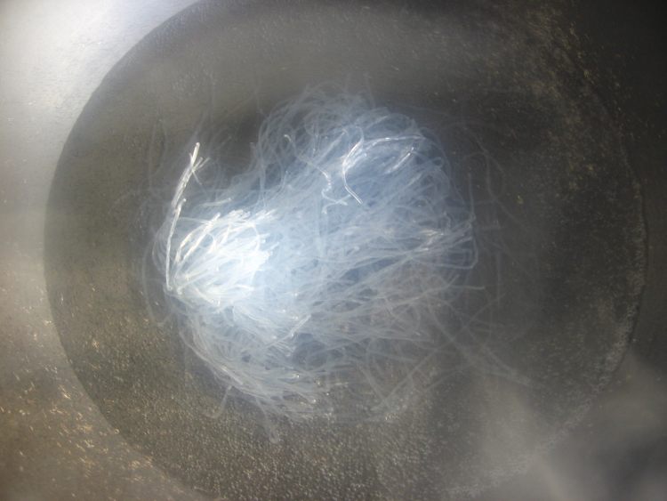 菠菜粉丝拌毛蛤蜊步骤7