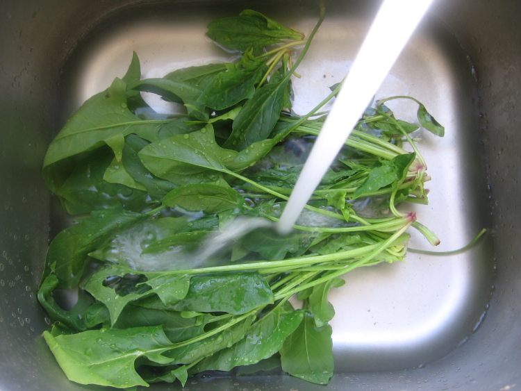 菠菜粉丝拌毛蛤蜊步骤4