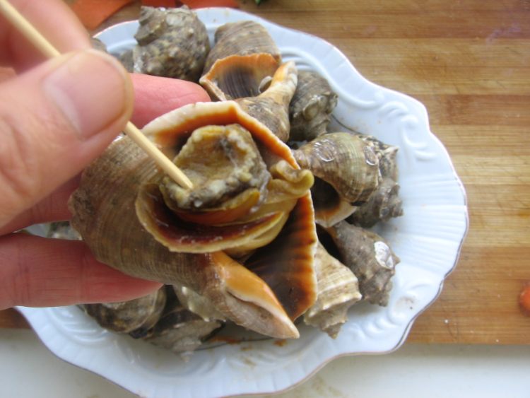 红烧海螺步骤3