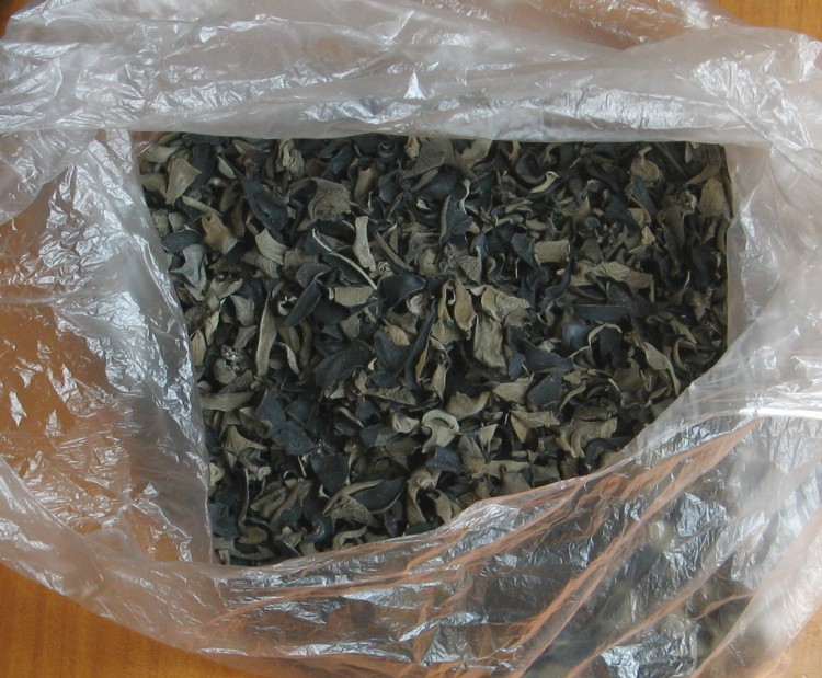 茄汁素海参步骤1