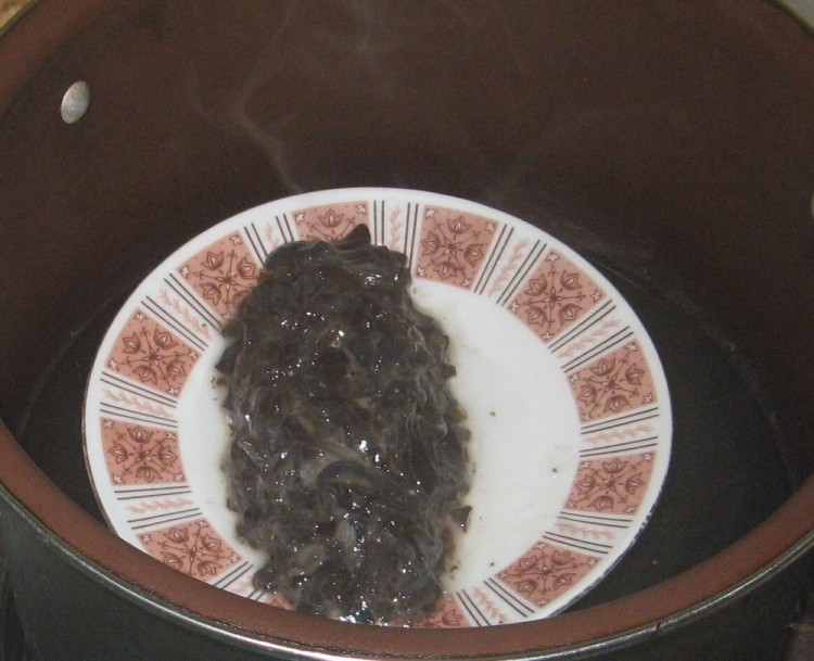 茄汁素海参步骤6