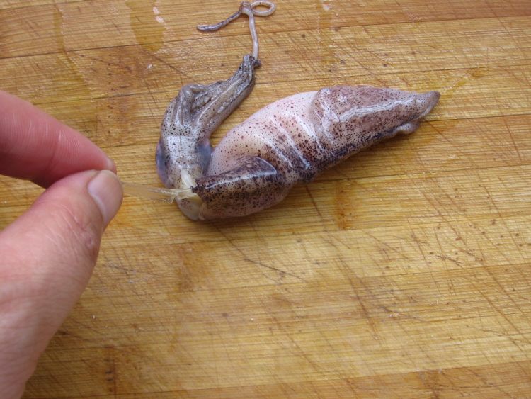 笔管鱼炖豆腐步骤3