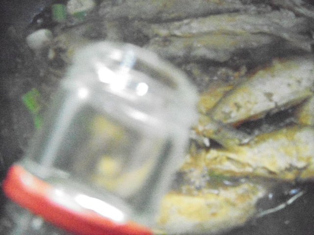 糖醋马口鱼步骤9