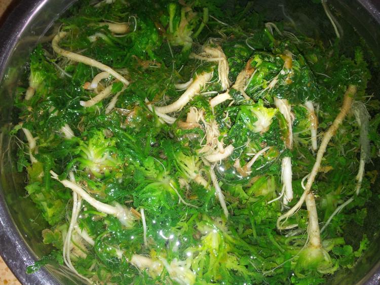 荠菜包子步骤1