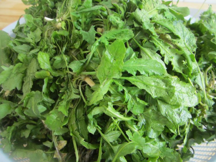 荠菜粉条肉馅饼步骤1