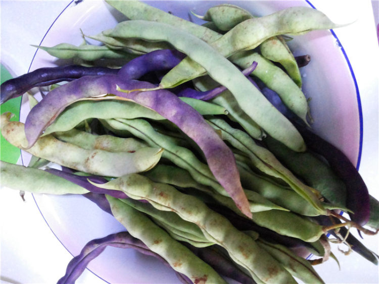 肉片炒芸豆步骤1