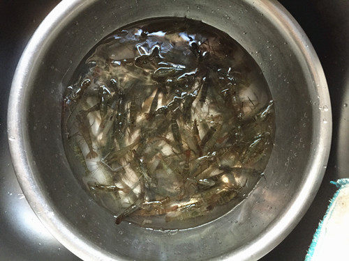 咸水虾步骤1