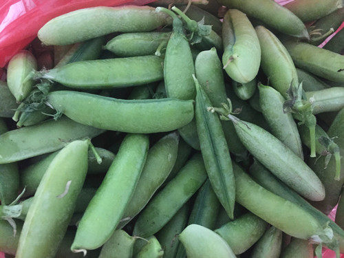 豌豆泥步骤1