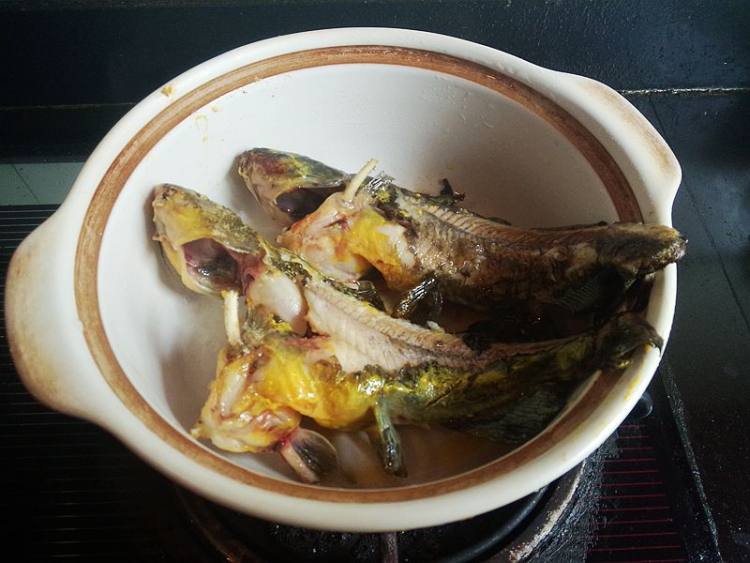 昂刺鱼炖冻豆腐步骤4