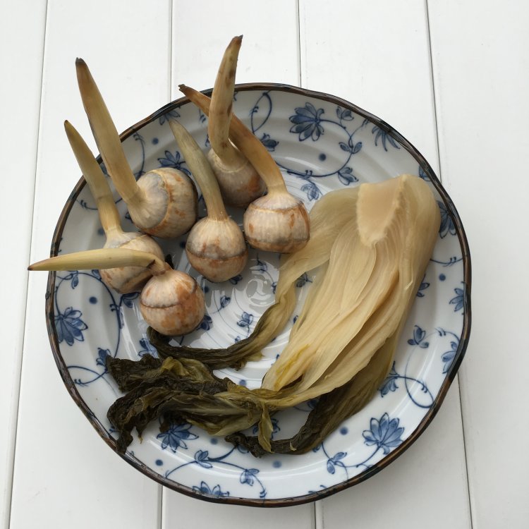 茨菰咸菜汤步骤1