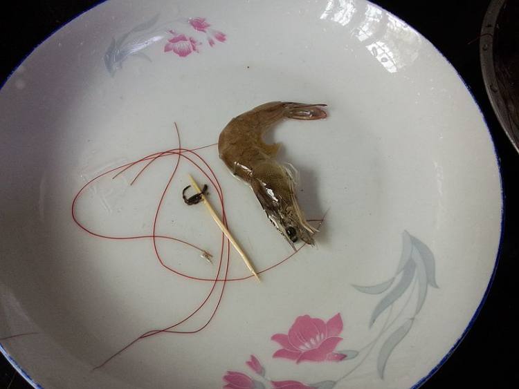 虾蛤汤步骤3