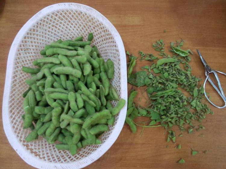 水煮五香毛豆节步骤2