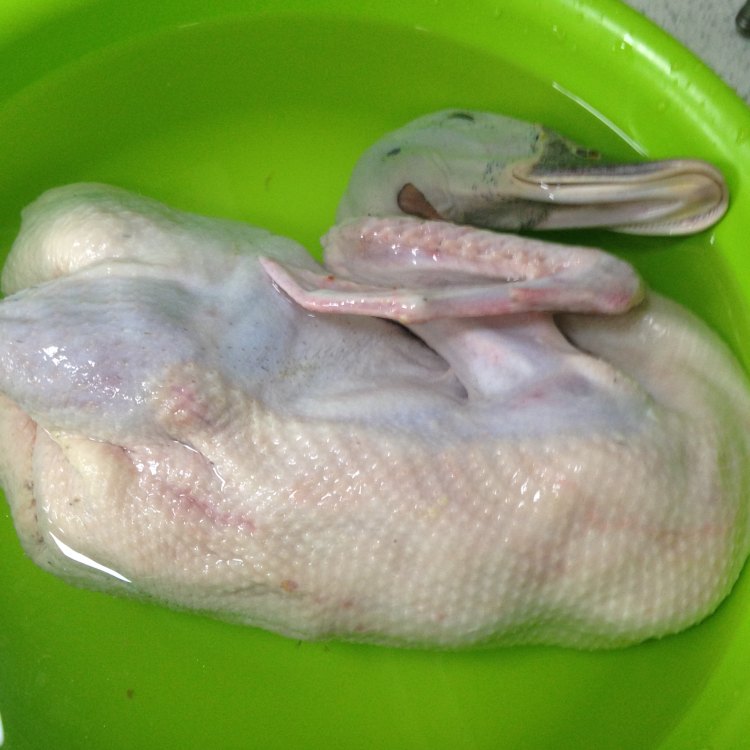 【手工美食】盐水鸭步骤2