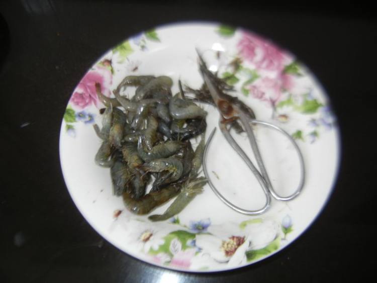 河虾紫菜冬瓜汤步骤2