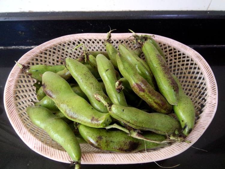 椒盐嫩豆瓣步骤1