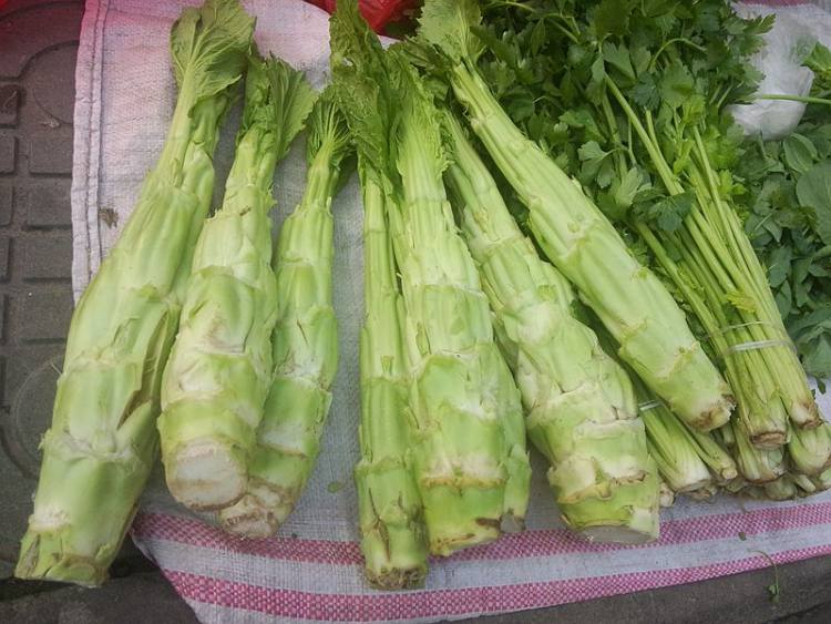 蛋皮拌菜杆步骤1