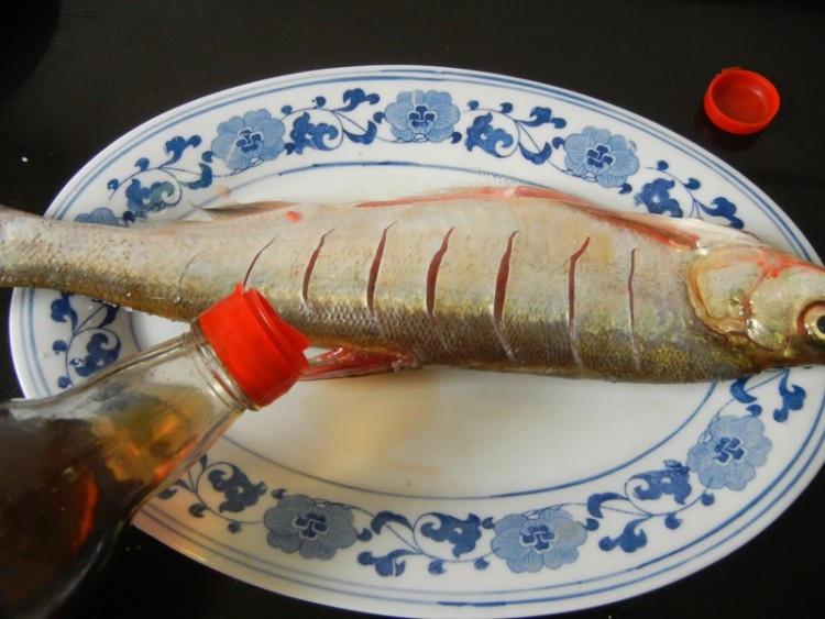 清蒸刁鱼步骤4