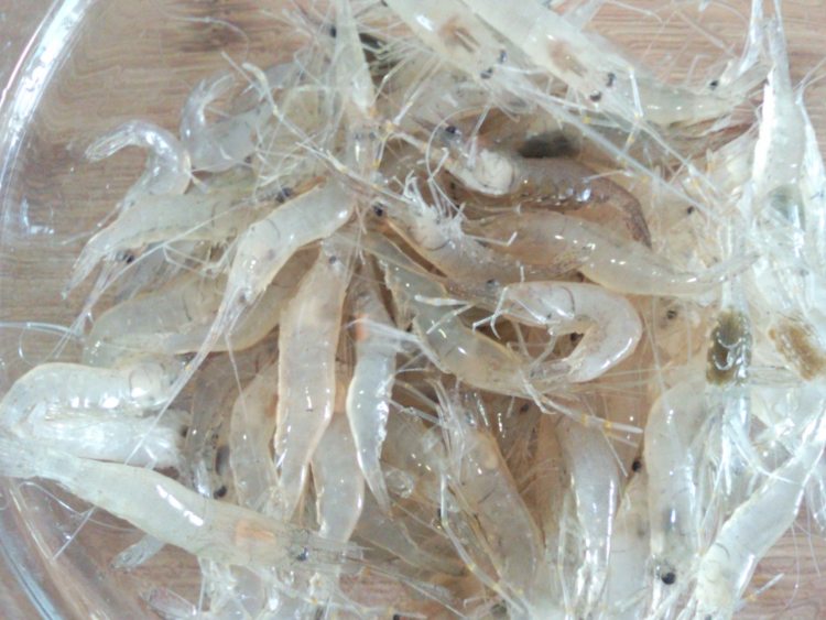 酒炝虾步骤2
